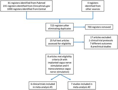 Efficacy and Safety of Vagus Nerve Stimulation on Upper Limb Motor Recovery After Stroke. A Systematic Review and Meta-Analysis